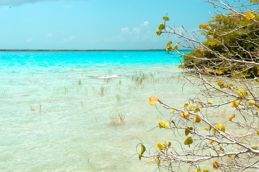 Hotel Rancho Encantado Bacalar Exteriör bild